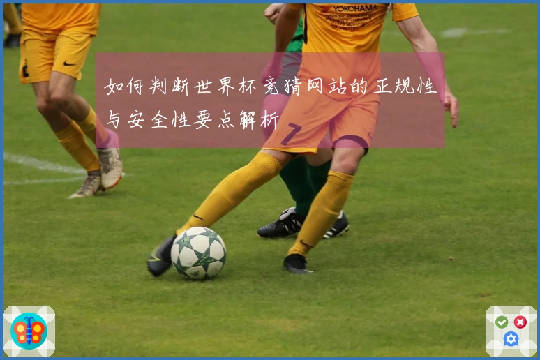 如何判断世界杯竞猜网站的正规性与安全性要点解析
