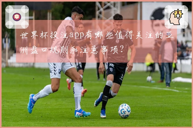 世界杯投注app有哪些值得关注的亚洲盘口规则和注意事项?