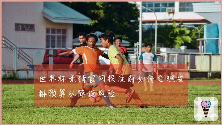 世界杯竞猜官网投注前如何合理安排预算以降低风险