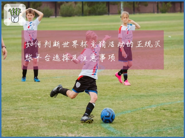 如何判断世界杯竞猜活动的正规买球平台选择及注意事项