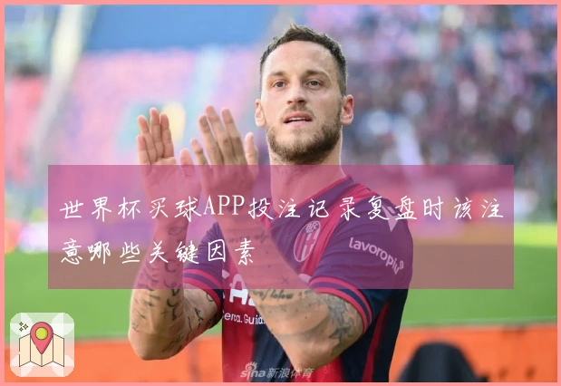 世界杯买球APP投注记录复盘时该注意哪些关键因素