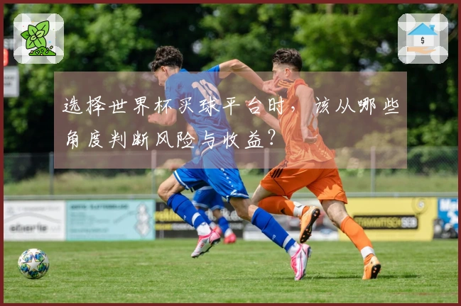 选择世界杯买球平台时，该从哪些角度判断风险与收益？