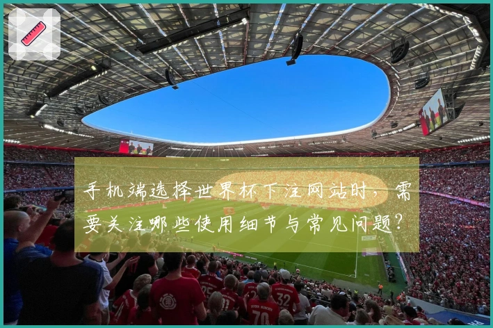 手机端选择世界杯下注网站时，需要关注哪些使用细节与常见问题？