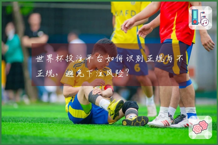 世界杯投注平台如何识别正规与不正规，避免下注风险？