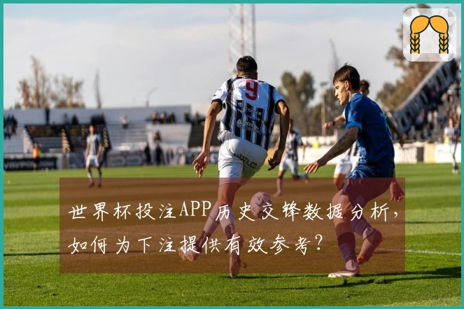 世界杯投注APP历史交锋数据分析，如何为下注提供有效参考？