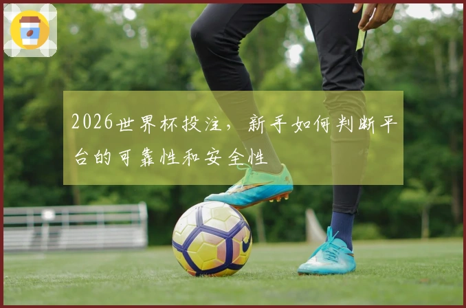 2026世界杯投注，新手如何判断平台的可靠性和安全性