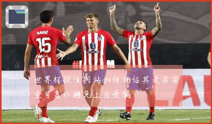 世界杯投注网站如何评估其是否安全可靠以避免上当受骗