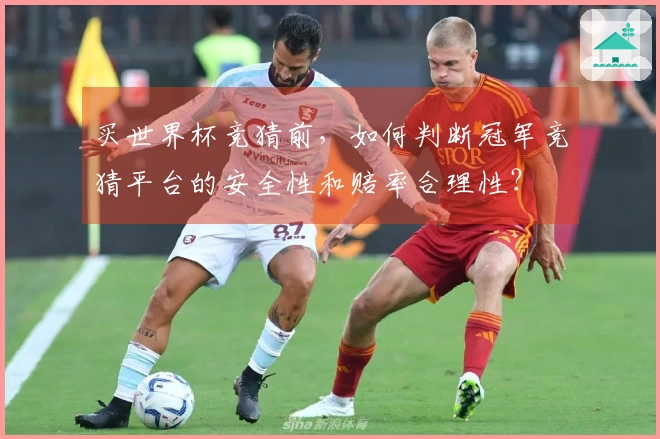 买世界杯竞猜前，如何判断冠军竞猜平台的安全性和赔率合理性？