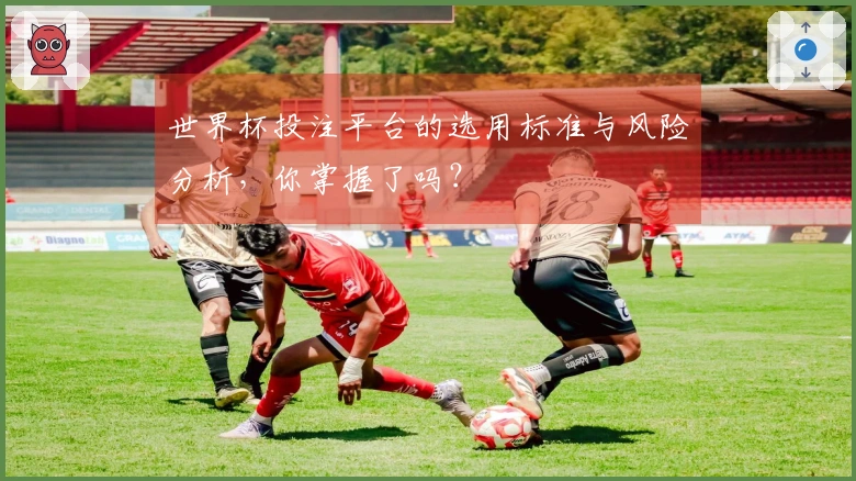 世界杯投注平台的选用标准与风险分析，你掌握了吗？