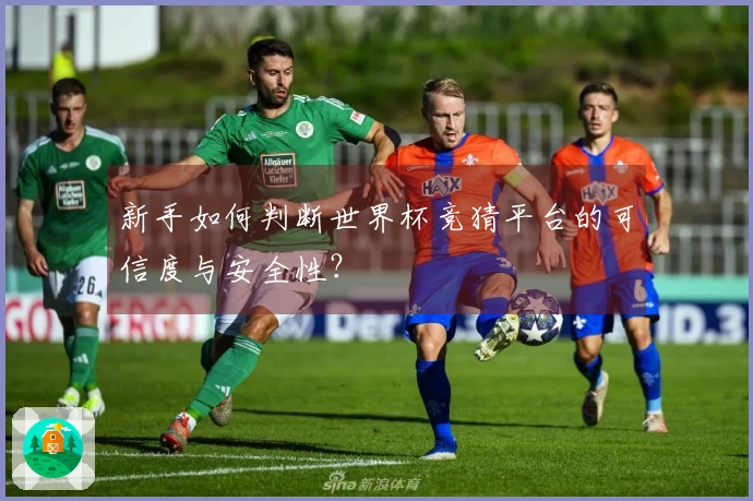 新手如何判断世界杯竞猜平台的可信度与安全性？