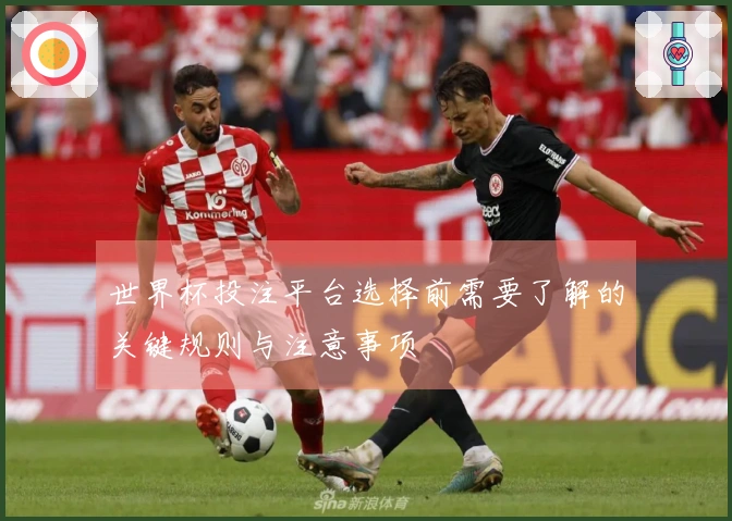 世界杯投注平台选择前需要了解的关键规则与注意事项