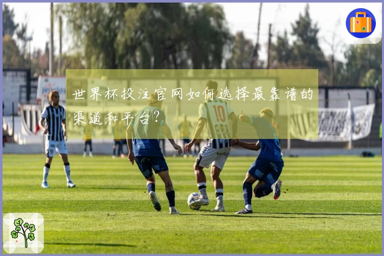 世界杯投注官网如何选择最靠谱的渠道和平台？