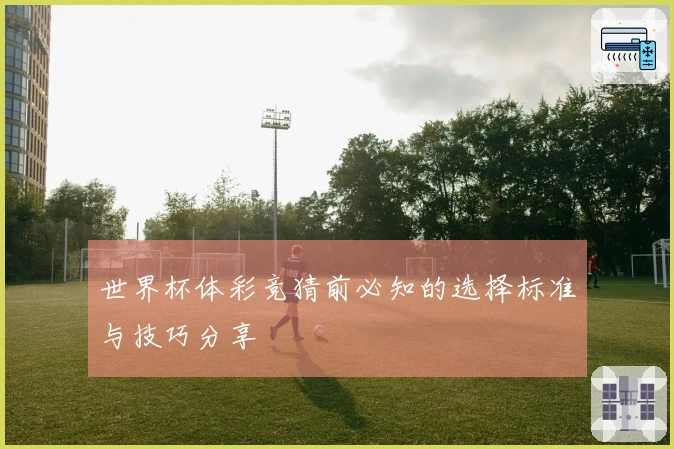 世界杯体彩竞猜前必知的选择标准与技巧分享