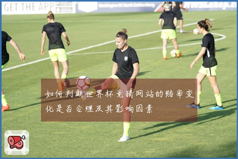 如何判断世界杯竞猜网站的赔率变化是否合理及其影响因素
