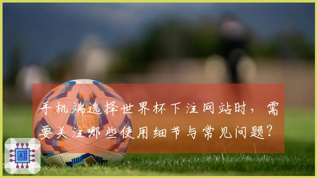 手机端选择世界杯下注网站时，需要关注哪些使用细节与常见问题？