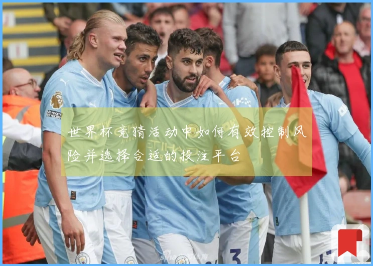 世界杯竞猜活动中如何有效控制风险并选择合适的投注平台