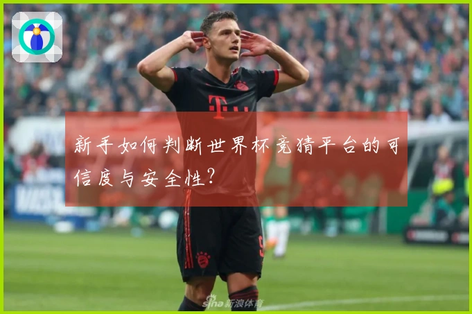 新手如何判断世界杯竞猜平台的可信度与安全性?