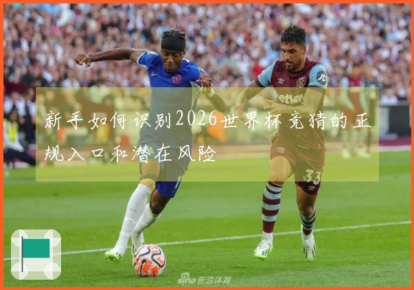 新手如何识别2026世界杯竞猜的正规入口和潜在风险