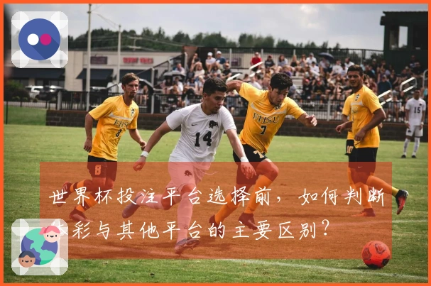 世界杯投注平台选择前，如何判断体彩与其他平台的主要区别？