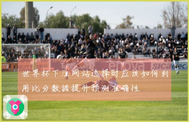 世界杯下注网站选择时应该如何利用比分数据提升预测准确性