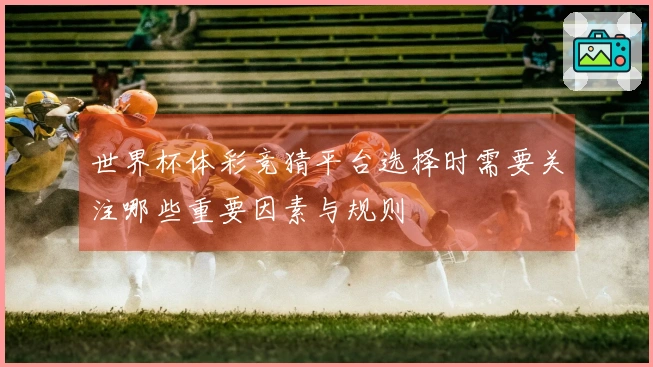 世界杯体彩竞猜平台选择时需要关注哪些重要因素与规则