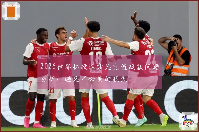 2026世界杯投注常见充值提款问题分析，避免不必要的损失