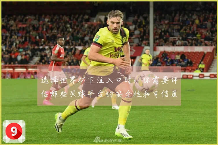 选择世界杯下注入口时，你需要评估哪些买球平台的安全性和可信度？