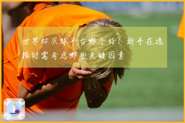 世界杯买球平台哪个好？新手在选择时需考虑哪些关键因素