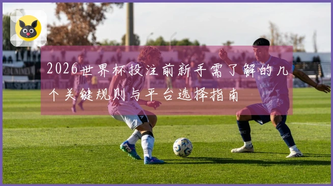 2026世界杯投注前新手需了解的几个关键规则与平台选择指南