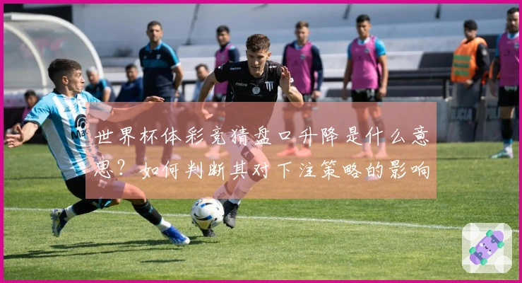 世界杯体彩竞猜盘口升降是什么意思？如何判断其对下注策略的影响