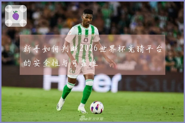 新手如何判断2026世界杯竞猜平台的安全性与可靠性