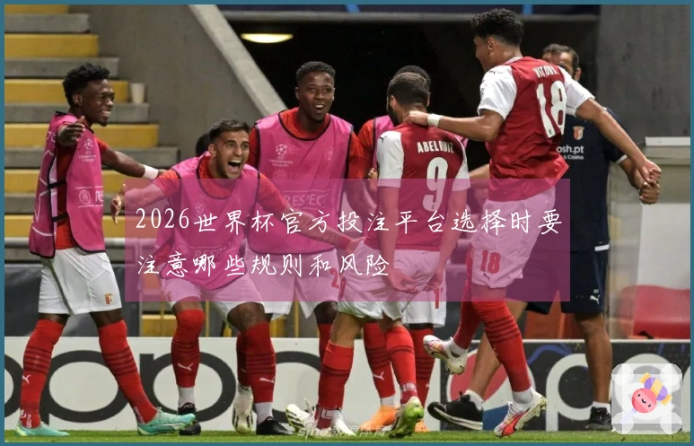 2026世界杯官方投注平台选择时要注意哪些规则和风险
