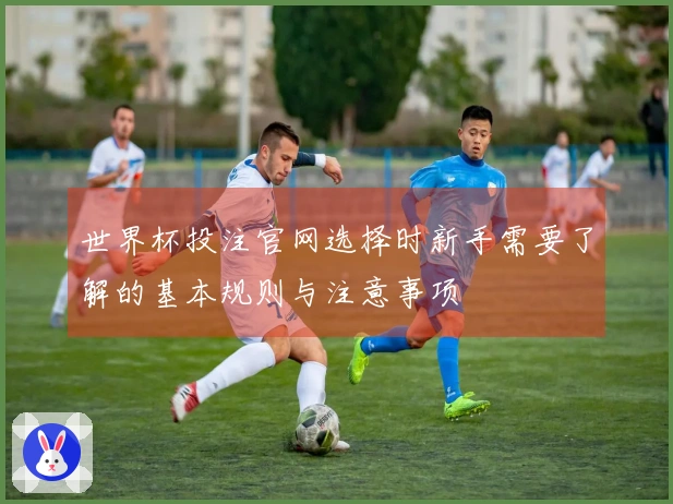 世界杯投注官网选择时新手需要了解的基本规则与注意事项