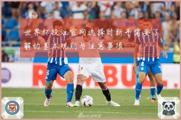 世界杯投注官网选择时新手需要了解的基本规则与注意事项