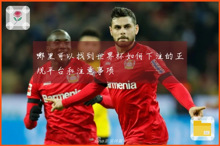哪里可以找到世界杯如何下注的正规平台和注意事项
