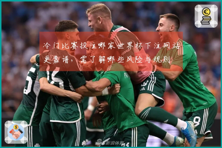 冷门比赛投注哪家世界杯下注网站更靠谱，需了解哪些风险与规则