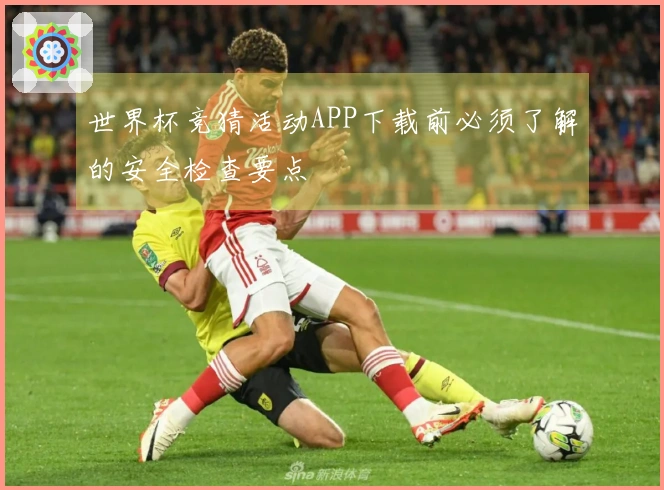 世界杯竞猜活动APP下载前必须了解的安全检查要点