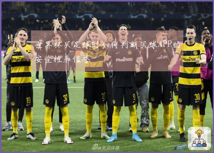 世界杯买足球时如何判断买球APP的安全性和信誉-