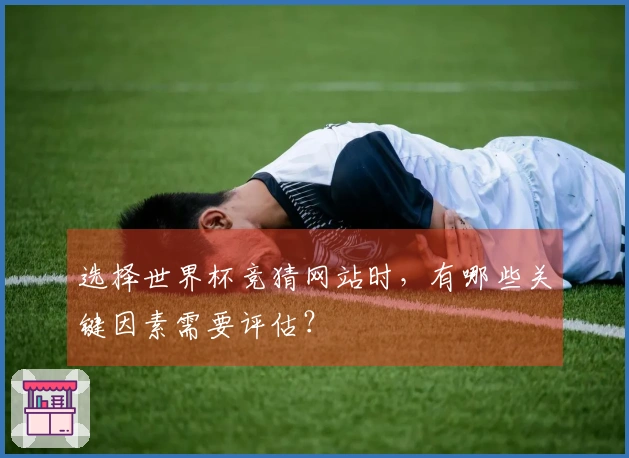 选择世界杯竞猜网站时，有哪些关键因素需要评估？