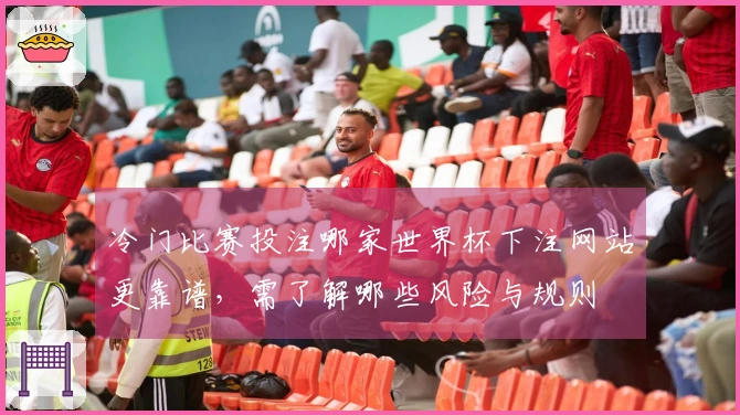 冷门比赛投注哪家世界杯下注网站更靠谱，需了解哪些风险与规则