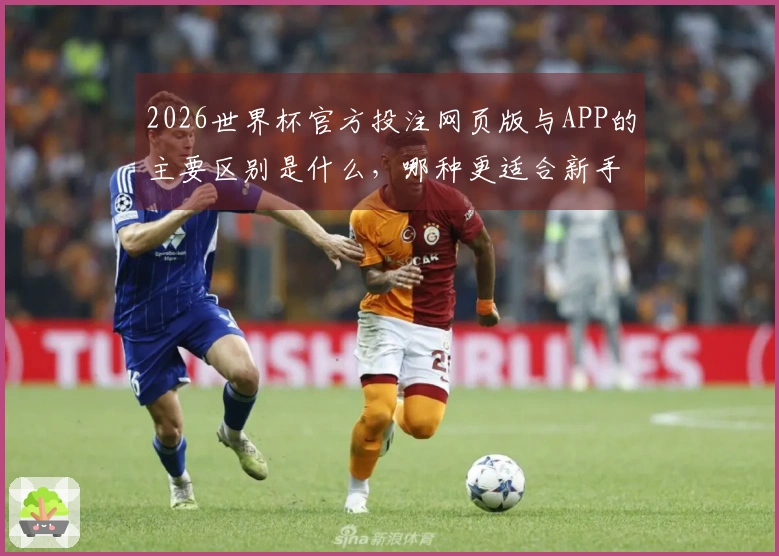 2026世界杯官方投注网页版与APP的主要区别是什么，哪种更适合新手？