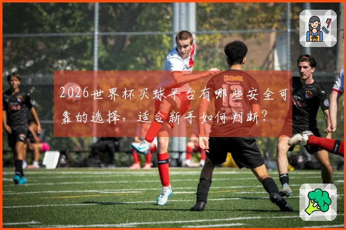 2026世界杯买球平台有哪些安全可靠的选择，适合新手如何判断？