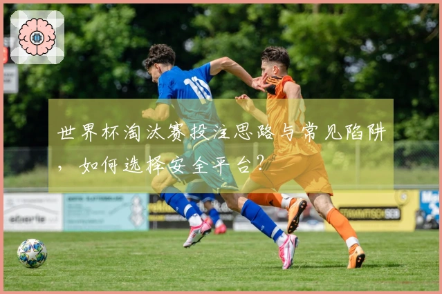 世界杯淘汰赛投注思路与常见陷阱,如何选择安全平台?